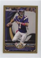 Christian Ponder #/58