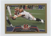 Andy Dalton [Noted] #/58