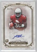 Andre Ellington #/25