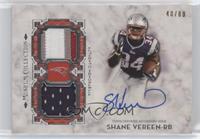 Shane Vereen #/80