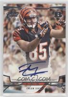 Tyler Eifert #/250