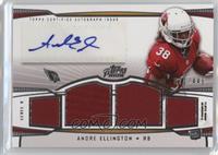 Andre Ellington #/449