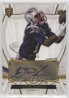 Aaron Dobson #/75