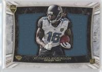 Denard Robinson #/50