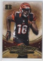 A.J. Green #/99