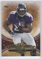 Ray Rice #/320