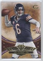 Jay Cutler #/320