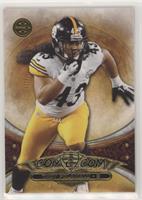 Troy Polamalu