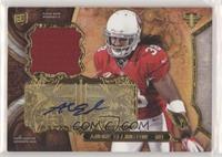 Andre Ellington #/99