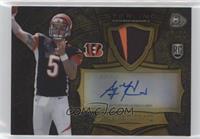 AJ McCarron  #/99