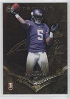 Teddy Bridgewater  #/99