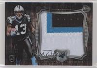 Kelvin Benjamin #/25