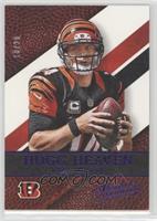 Andy Dalton #/20