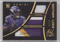 Teddy Bridgewater #/99