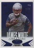 James White #/99