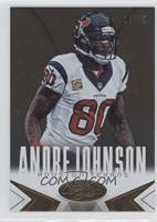 Andre Johnson #/25