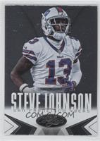 Steve Johnson