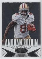 Anquan Boldin