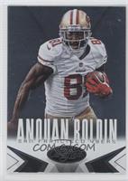 Anquan Boldin