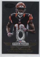 A.J. Green #/25