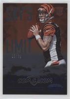 AJ McCarron #/99