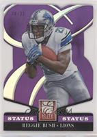 Reggie Bush #/21