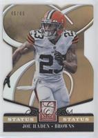 Joe Haden #/49