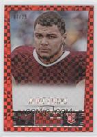 Mike Evans #/25