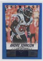 Andre Johnson #/79