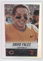 David Fales