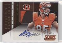 Tyler Eifert #/25