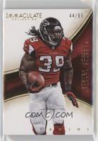 Steven Jackson #/99