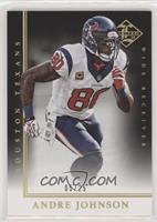 Andre Johnson #/25