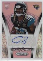 Allen Robinson #/150