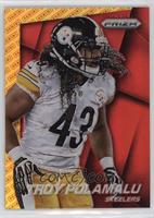 Troy Polamalu