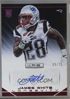 Rookie - James White [Noted] #/75