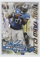 Calvin Johnson