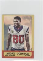 Andre Johnson