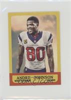 Andre Johnson