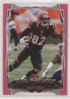 Marvin Jones [EX to NM] #/499