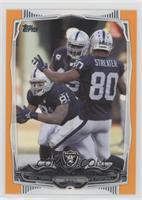 Oakland Raiders Team #/96