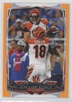 Cincinnati Bengals Team #/96