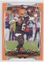 Brian Hoyer #/96