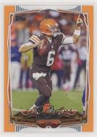 Brian Hoyer #29/96