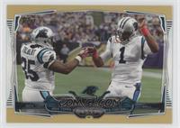 Carolina Panthers Team #/2,014