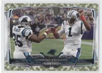 Carolina Panthers Team #/399