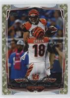 Cincinnati Bengals Team #/399