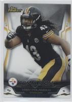 Troy Polamalu