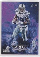 DeMarco Murray #/499