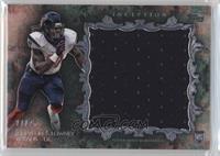 Jadeveon Clowney #/75